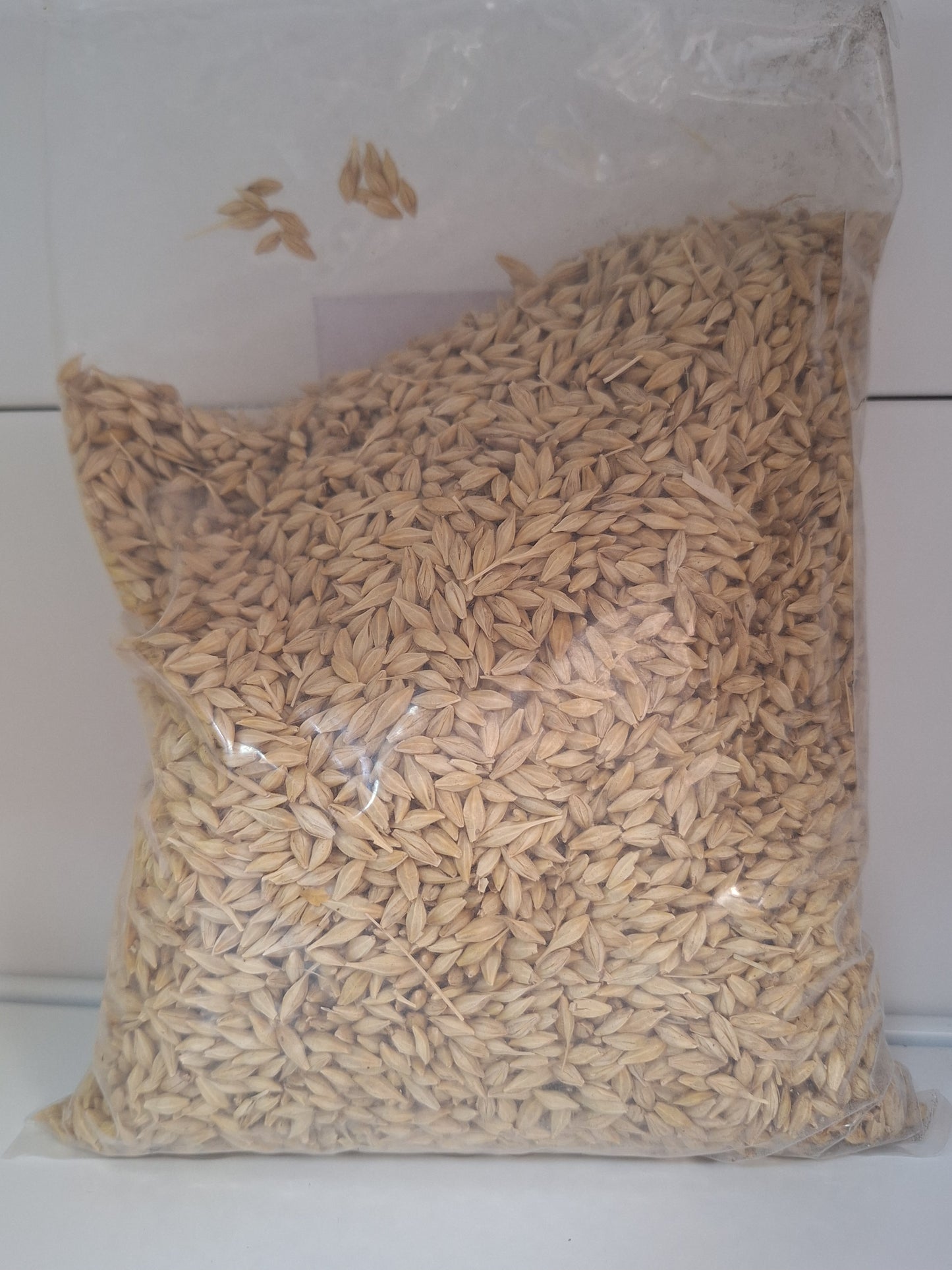 Barley (ጥረ ስገም)1k.g